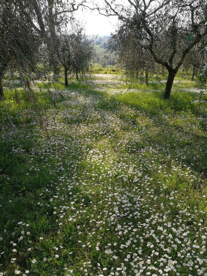 Agriturismo I Roseti มอนติปุลเชียโน ภายนอก รูปภาพ