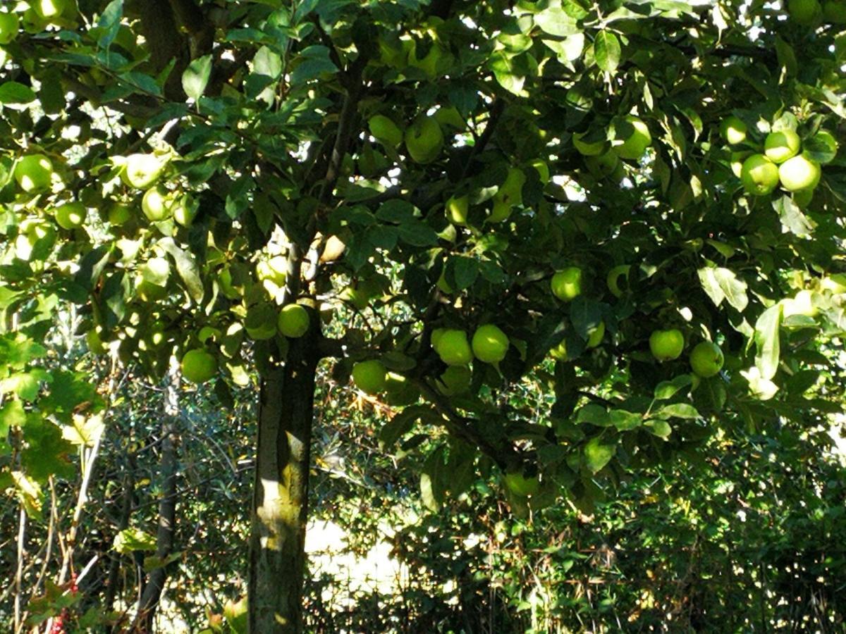 Agriturismo I Roseti มอนติปุลเชียโน ภายนอก รูปภาพ